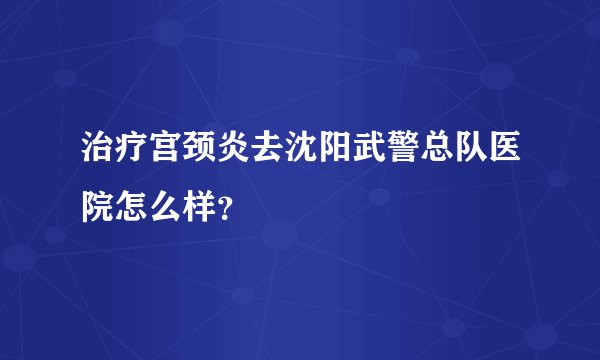 治疗宫颈炎去沈阳武警总队医院怎么样?