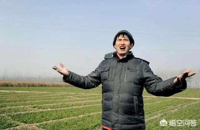 同是《星光大道》的草根明星,大衣哥活跃依旧,阿宝为何没什么消息了?