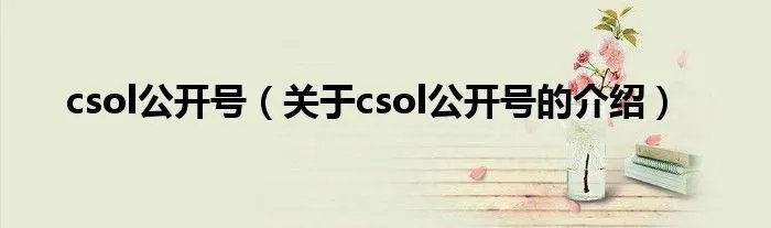 csol公开号（关于csol公开号的介绍）