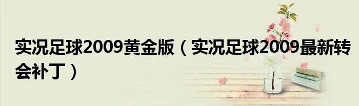 实况足球2009黄金版(实况足球2009最新转会补丁)
