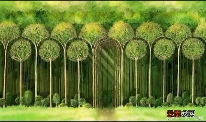 恋爱情书网 感动300年的小情书