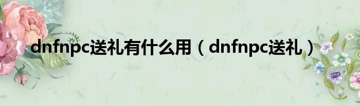 dnfnpc送礼有什么用（dnfnpc送礼）
