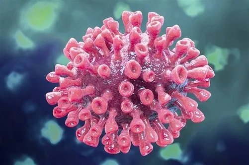 多国确认出现变异新冠病毒确诊病例