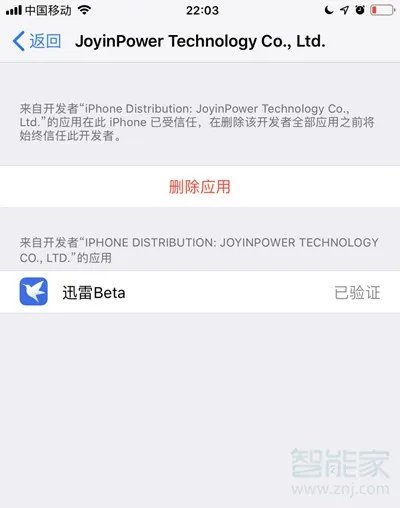 ios版迅雷如何安装