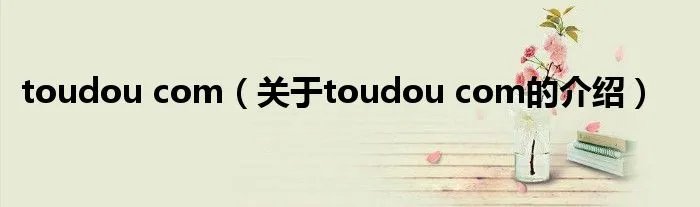 toudou com（关于toudou com的介绍）