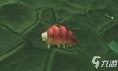 《魔兽世界》宠物帝蚕虫怎么获得 获取方法分享