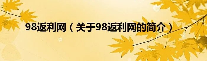 98返利网（关于98返利网的简介）