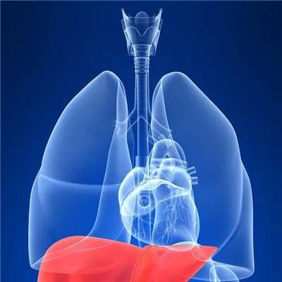 丙肝能彻底治好吗