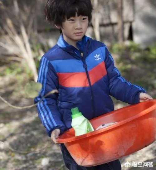 对于娱乐圈明星的孩子上真人秀有什么看法?这会影响孩子成长吗?