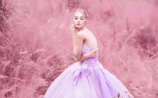 《来生与君共白头》林晗姝顾南昇小说阅读