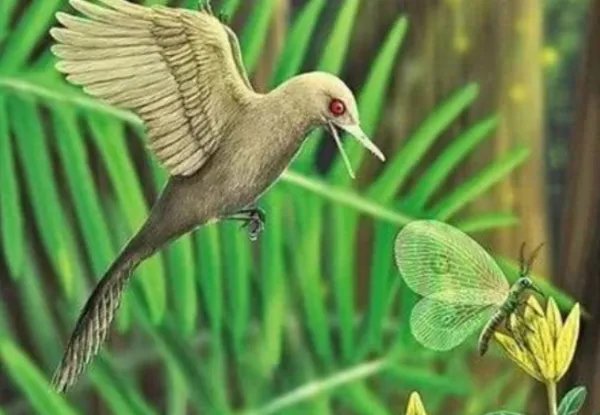 科学家发现迄今最小的恐龙,这种恐龙的生活习性是什么样的?