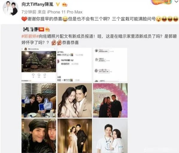 向太安慰郭碧婷是怎么回事 向太为什么安慰郭碧婷