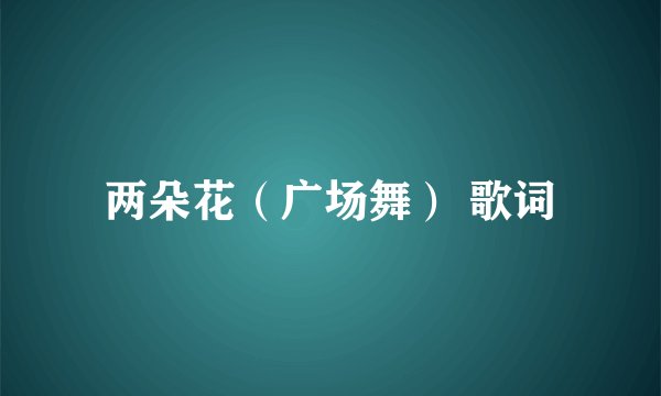 两朵花(广场舞) 歌词