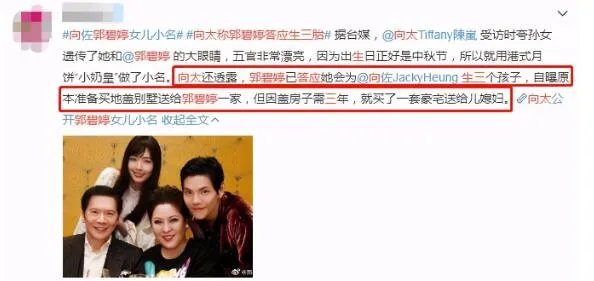 向太称郭碧婷答应生三胎是怎么回事