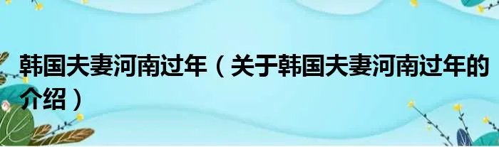 韩国夫妻河南过年（关于韩国夫妻河南过年的介绍）