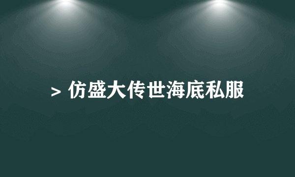 > 仿盛大传世海底私服