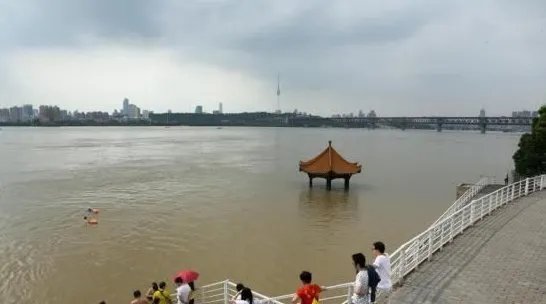 长江2017年第1号洪水给湖南带来了哪些灾害损失？