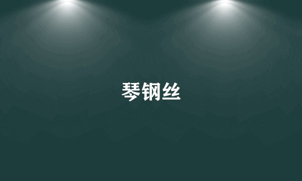 琴钢丝