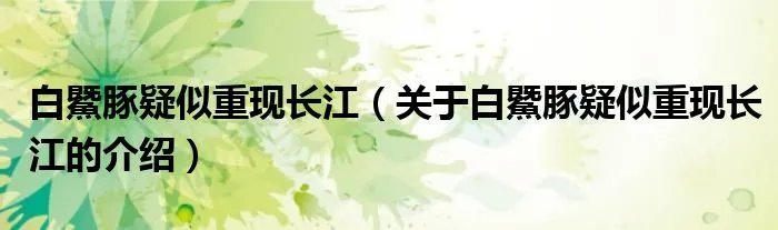 白鱀豚疑似重现长江（关于白鱀豚疑似重现长江的介绍）