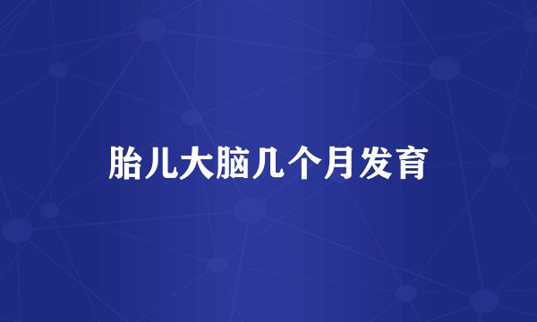 胎儿大脑几个月发育