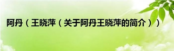 阿丹（王晓萍（关于阿丹王晓萍的简介））