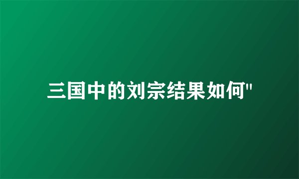 三国中的刘宗结果如何