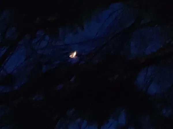 艾斯还会复活吗？