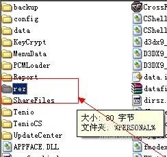 cfbug不掉血文件怎么用