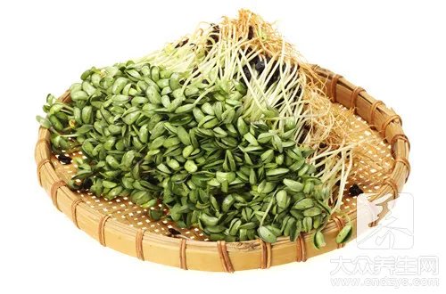 春分时节吃什么养生