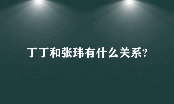 丁丁和张玮有什么关系?