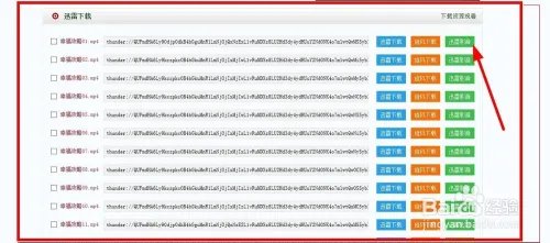 幸福攻略电视剧全集
