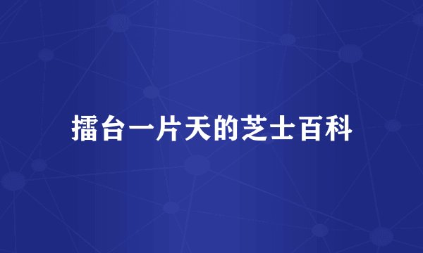 擂台一片天的芝士百科