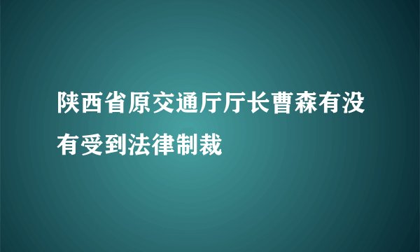 陕西省原交通厅厅长曹森有没有受到法律制裁