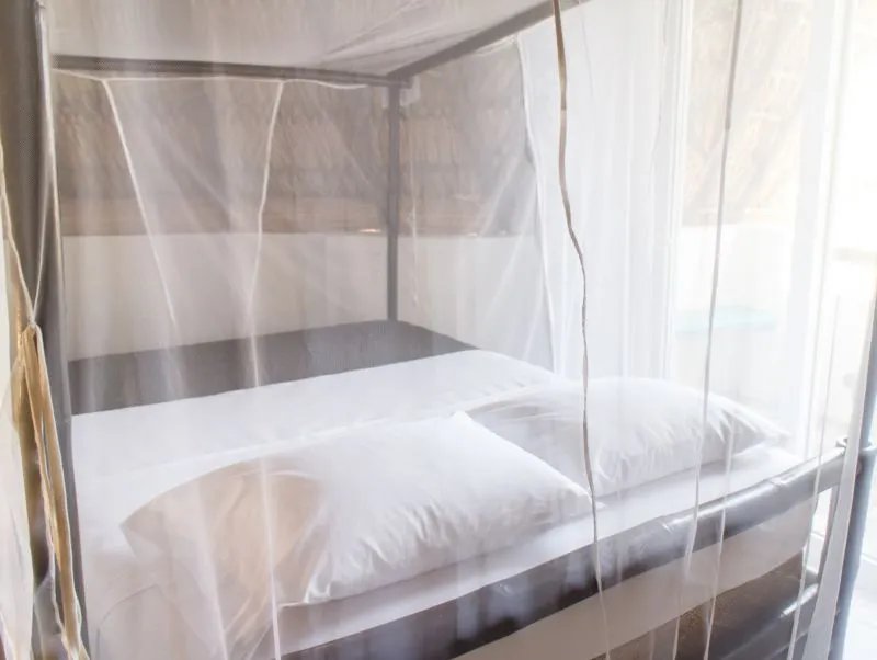 新加坡遇上史上最严重登革热疫情,轻型登革热似感冒要注意!