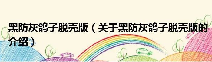 黑防灰鸽子脱壳版（关于黑防灰鸽子脱壳版的介绍）