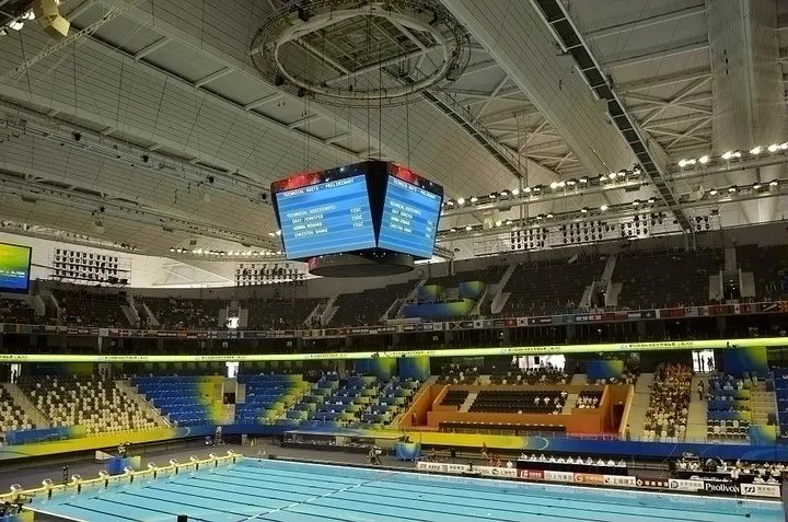 上海世界游泳锦标赛有哪几个项目?