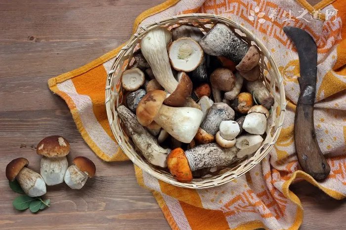 味千拉面菜单和价格表