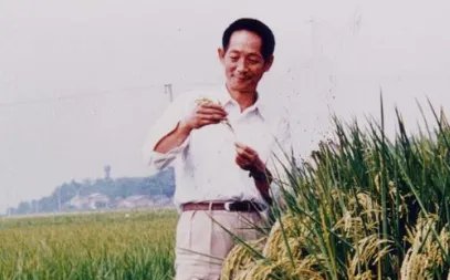 长沙外卖小哥称长沙外卖单全是鲜花,这是怎么回事?