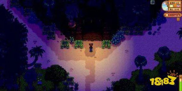 星露谷物语宝石鸟是什么 宝石鸟的摆放顺序分享