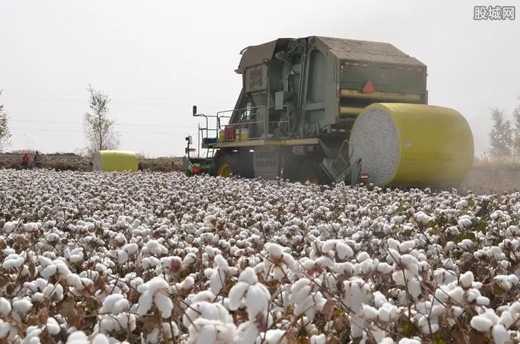 bci组织是什么意思 包含哪些公司和品牌