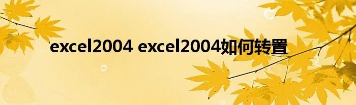excel2004 excel2004如何转置