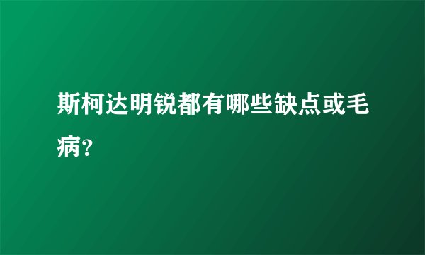 斯柯达明锐都有哪些缺点或毛病?