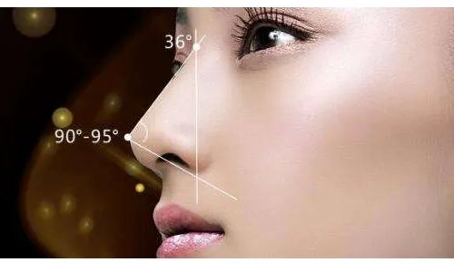 鼻综合大概费用