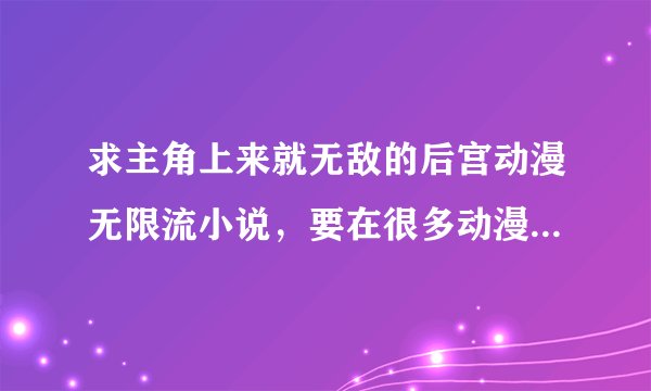 求主角上来就无敌的后宫动漫无限流小说，要在很多动漫里穿越的小说，希望大家提供小说名字，谢谢了80分呢