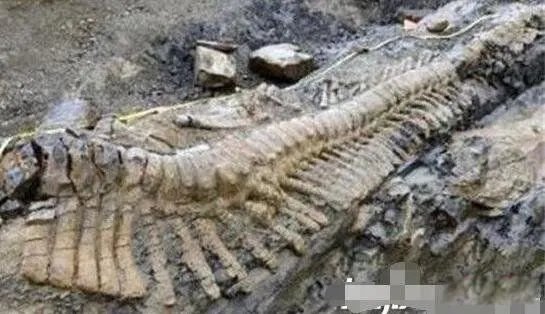 蛟龙号潜水员吓疯事件怎么回事 目击事件真相