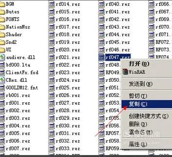cfbug不掉血文件怎么用
