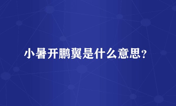 小暑开鹏翼是什么意思？