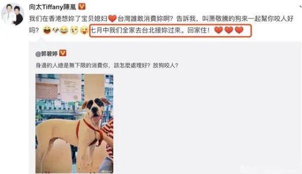 向太安慰郭碧婷是怎么回事 向太为什么安慰郭碧婷