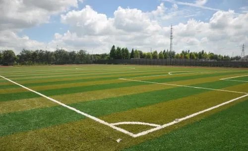 内蒙古培养出耐踩草坪,这种草坪真的可以随意踩吗?