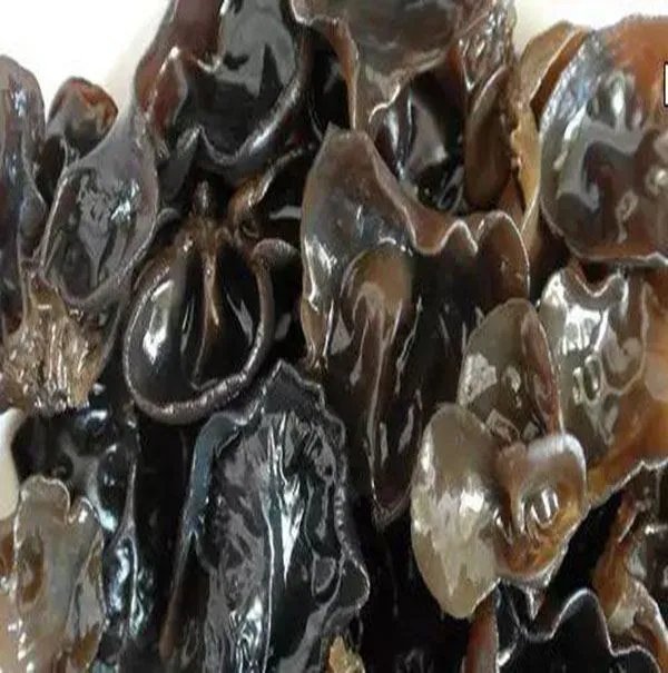 黑木耳一天吃多少算适量?该怎么吃法?